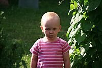 IMG_5463.jpg