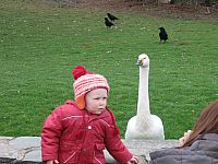 IMG_5637.jpg