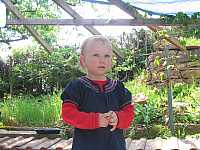 IMG_6375.jpg