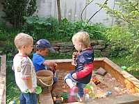 IMG_6383.jpg