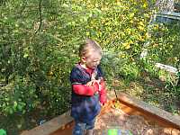 IMG_6384.jpg