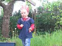 IMG_6388.jpg