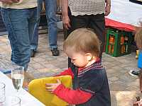 IMG_6396.jpg