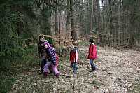 IMG_7028.jpg
