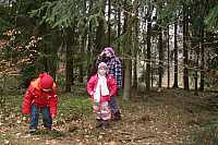 IMG_7032.jpg