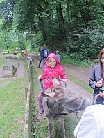 Sommer 008.jpg