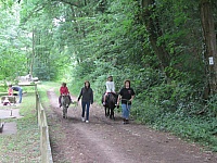 Sommer 009.jpg