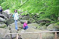 IMG_0929.jpg