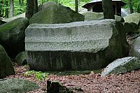 IMG_0955.jpg